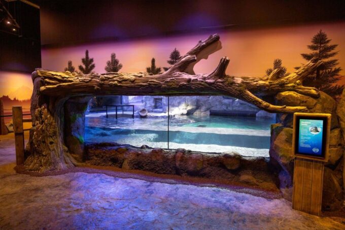 Birmingham: National Sea Life Centre Entrance Ticket - Reserving Your Visit