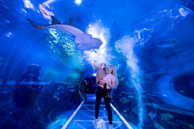 Birmingham: National Sea Life Centre Entrance Ticket - Recap