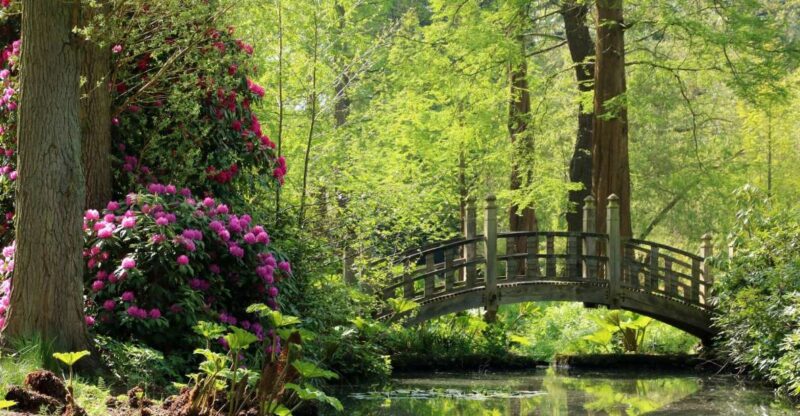 Birmingham: Winterbourne House and Garden Admission Ticket - Nearby Attractions