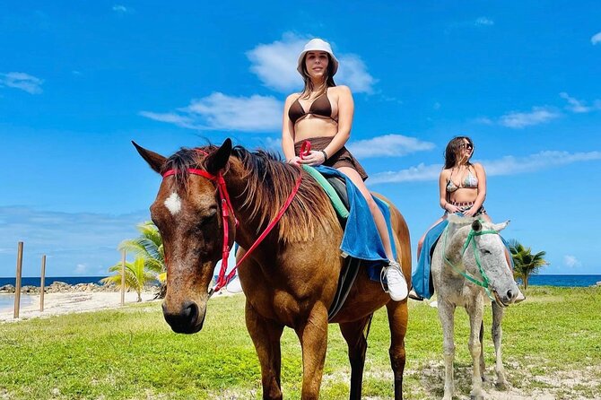 Birthday Celebration Experience in Jamaica + Transportation - About Your Stay