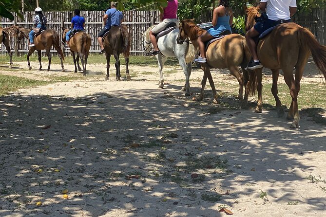 Birthday Celebration Experience in Jamaica + Transportation - Important Information