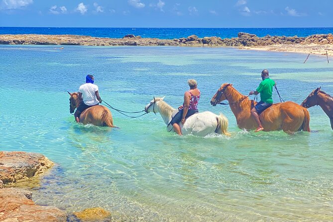 Birthday Celebration Experience in Jamaica + Transportation - Exciting Activities