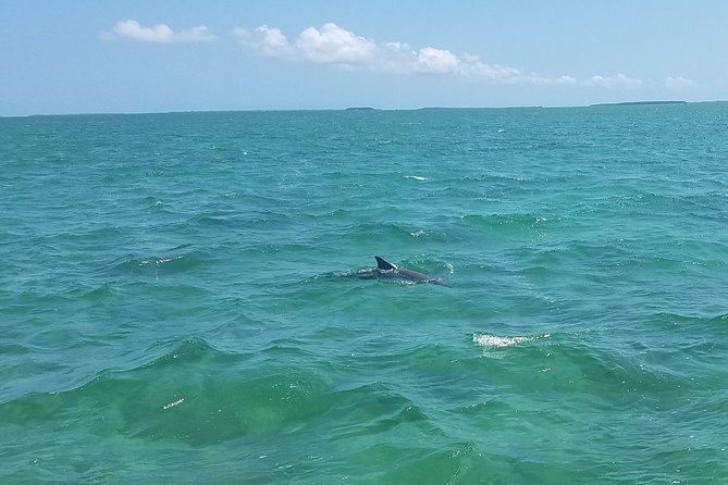 Biscayne National Park By Boat With Island Visit and Park History - Meeting and End Points