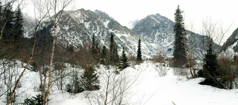Bishkek: Ala Archa National Park Hiking and Adventure Tour - The Quality of the Guides and Logistics