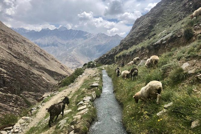 Bishkek to Dushanbe on Pamir Highway - Booking and Cancellation