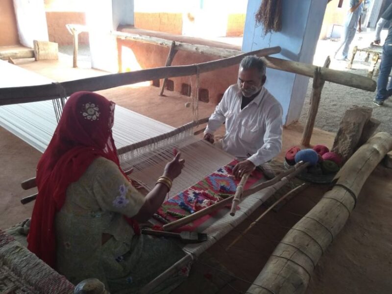 Bishnoi Village Safari Day Tours - Key Points