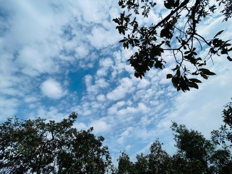 Bishnudwaar: a Perfect Day Hike in Kathmandu - National Park Information