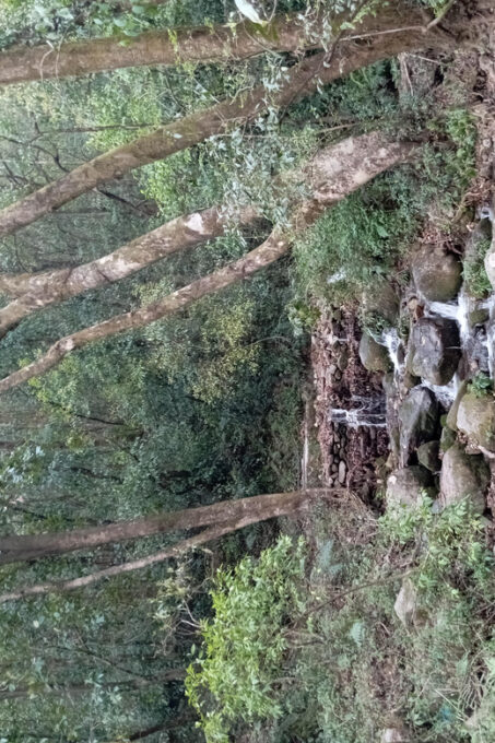 Bishnudwaar: a Perfect Day Hike in Kathmandu - Accessibility and Difficulty