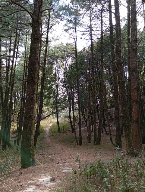 Bishnudwaar: a Perfect Day Hike in Kathmandu - Best Time to Visit