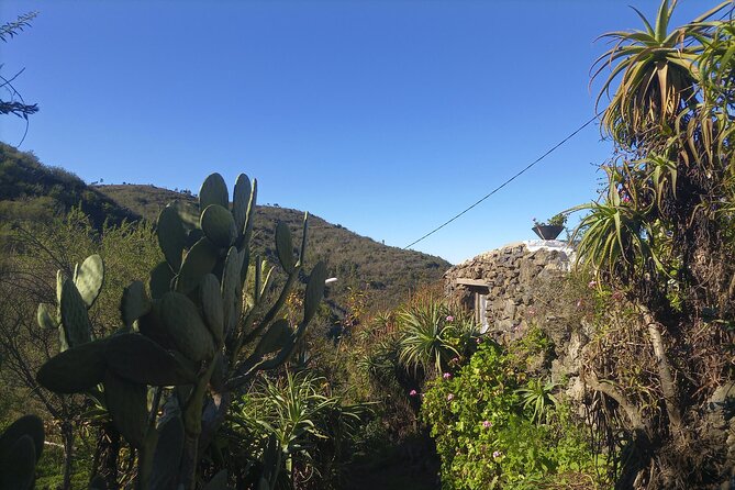 Black Caves, Jungles, Waterfalls - Visit the Secret Tenerife ! - Whats Included