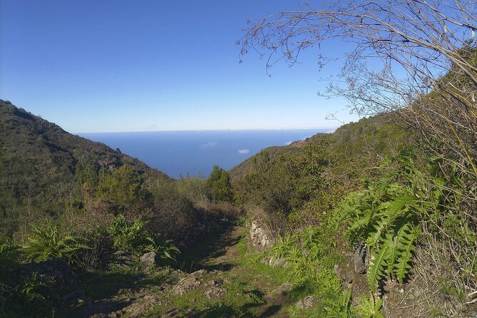 Black Caves, Jungles, Waterfalls - Visit the Secret Tenerife ! - Meeting and Pickup
