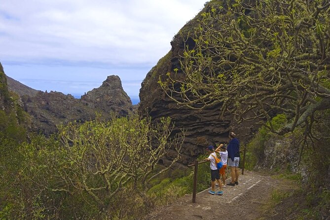 Black Caves, Jungles, Waterfalls - Visit the Secret Tenerife ! - Natural Wonders Explored