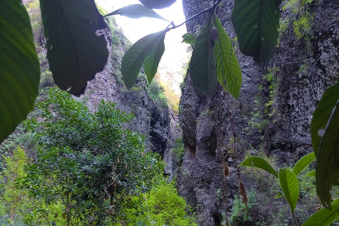 Black Caves, Jungles, Waterfalls - Visit the Secret Tenerife ! - Group Size and Experience