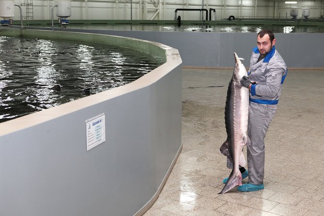 Black Caviar and Sparkling Wine Tour - Accessibility and Participation