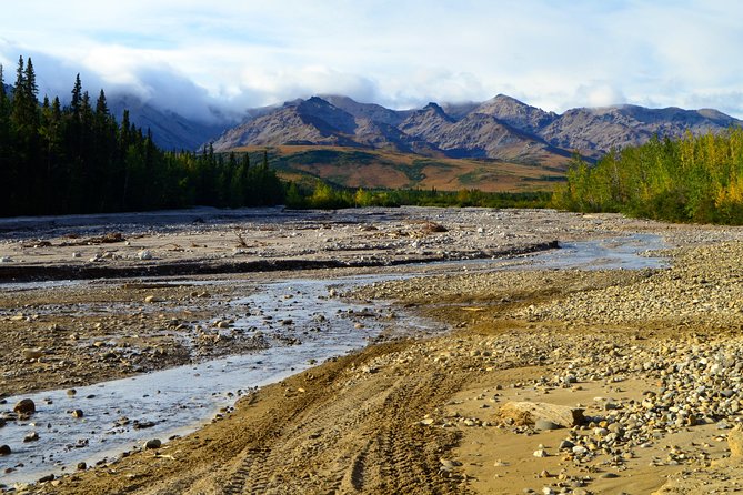 Black Diamond Treasure Hunt Excursion With Backcountry Dining - ATV Specifications