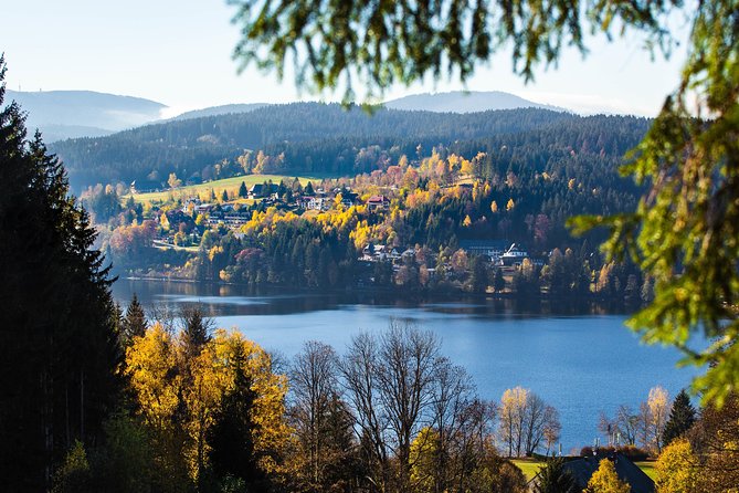 Black Forest and Rhine Falls Day Trip From Zurich - Exploring the Rhine Falls