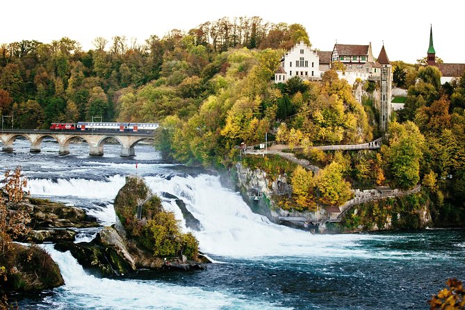 Black Forest and Rhine Falls Day Trip From Zurich - Enjoying Black Forest Gateau