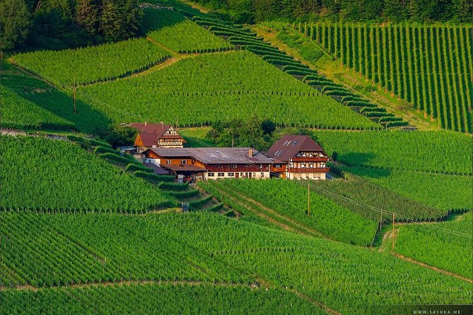 Black Forest. From Baden-Baden to Strasbourg. Two Countries in One Day - Meeting and Pickup Details