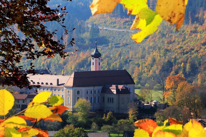 Black Forest Myths and Stories Walk Guided by a Local - Traveler Reviews