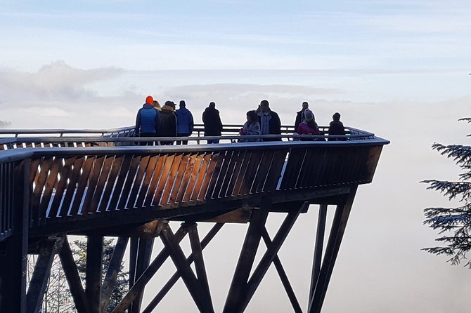 Black Forest Tour by Car: Baden-Baden to Freiburg or Vice Versa - Participant Requirements