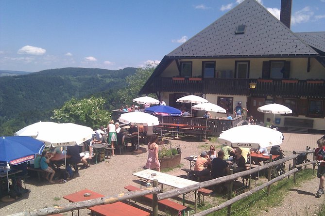 Black Forest Tour by Car: Baden-Baden to Freiburg or Vice Versa - Cancellation and Pricing
