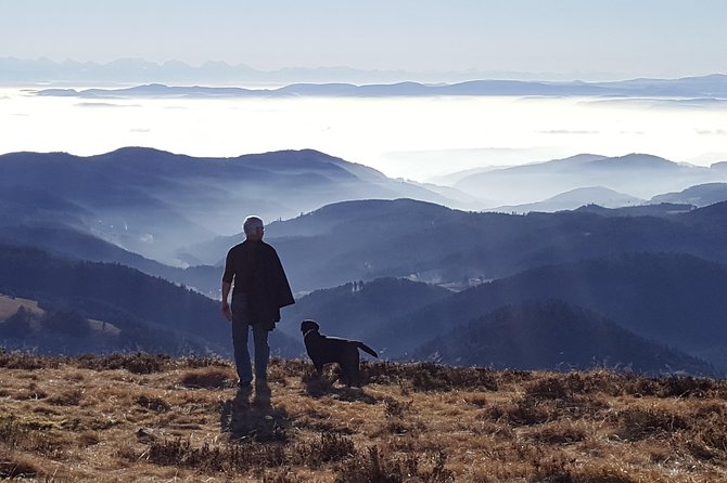 Black Forest Tour by Car - Quick Tour From Freiburg - Inclusions and Requirements