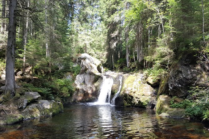 Black Forest Tour by Car - Quick Tour From Freiburg - Highlights of the Tour