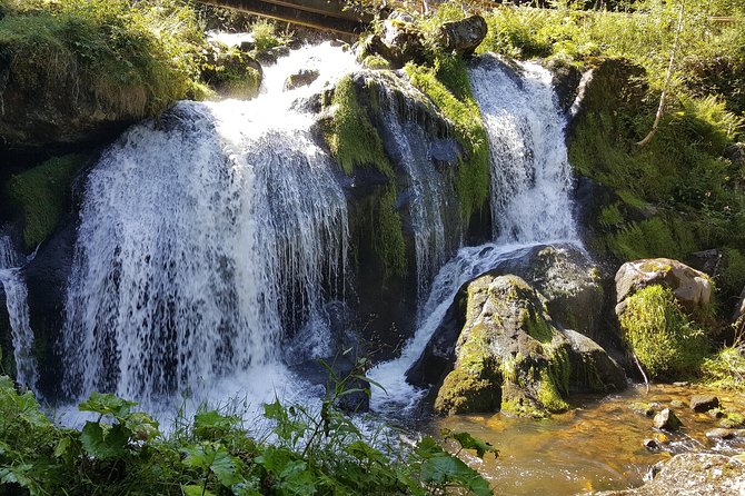 Black Forest Tour by Car - Quick Tour From Freiburg - Customer Reviews