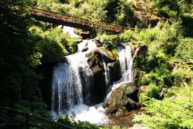 Black Forest Tour by Car - Start Offenburg or Freiburg - Not Included