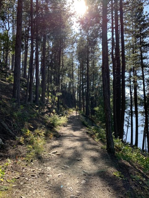 Black Hills: Private Tour of Mt. Rushmore & Flume Trail Hike - Key Points
