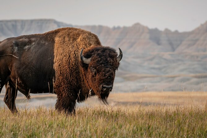 Black Hills Self Guided Driving Audio Tour - Support and Troubleshooting