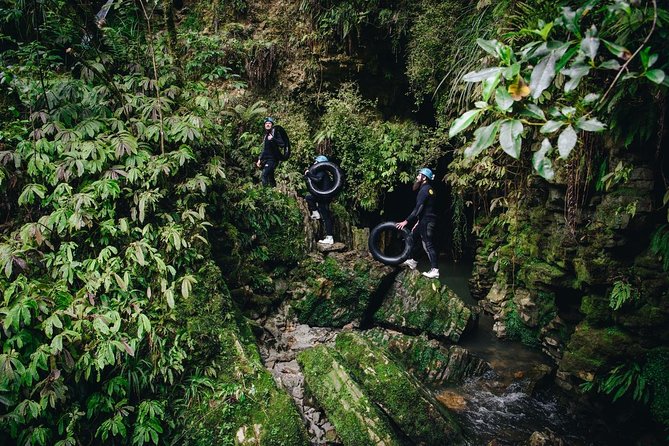 Black Labyrinth: Black Water Rafting - Private Tour From Auckland - Glowworm Displays and Waterfalls