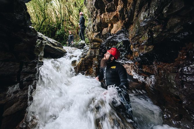 Black Labyrinth: Black Water Rafting - Private Tour From Auckland - Lunch and Native Bird Park