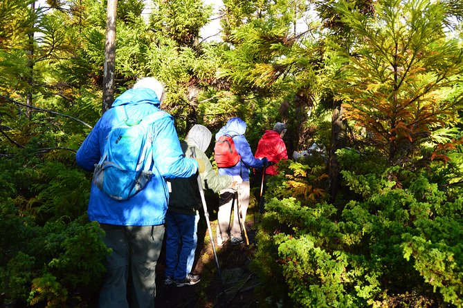 Black Mysteries Hiking Trail - Terceira Azores - Hiking Experience and Fitness