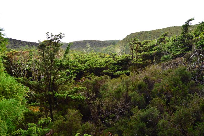 Black Mysteries Hiking Trail - Terceira Azores - Tour Inclusions and Amenities