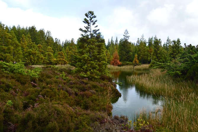 Black Mysteries Hiking Trail - Terceira Azores - Safety Considerations