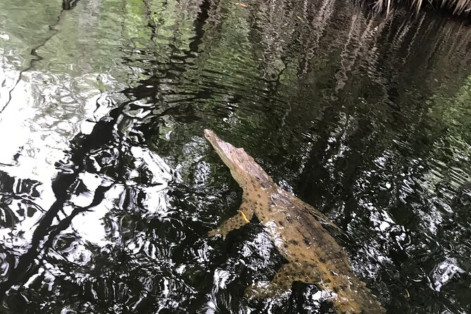 Black River Safari and Appleton Estate Tour - Appleton Estate: Jamaicas Rum Legacy