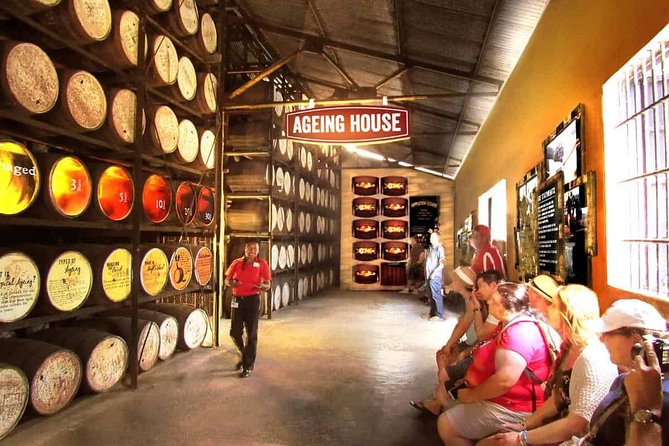 Black River Safari and Appleton Rum Estate Private Tour - Inclusions and Tour Details