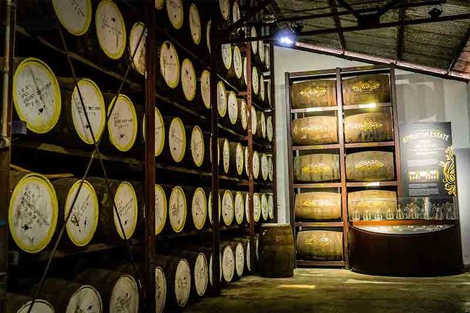 Black River Safari and Appleton Rum Estate Private Tour - Pricing and Cancellation Policy