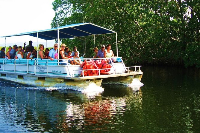 Black River Safari and Appleton Rum Estate Private Tour - Accessibility and Infant Seating