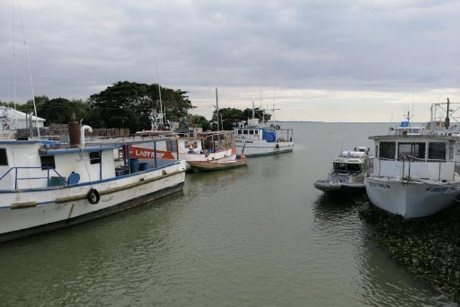 Black River Safari and Appleton Rum Estate Private Tour - Highlights of the Experience
