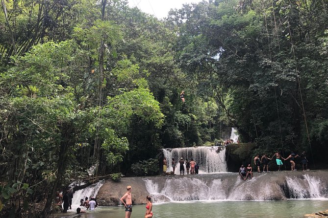 Black River Safari and YS Falls - Meeting and Pickup Details
