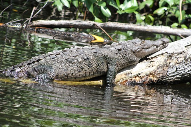 Black River Safari and YS Falls Tour From Negril - Inclusions and Exclusions