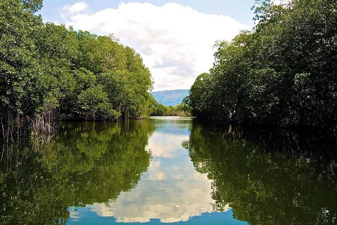 Black River Safari and YS Falls Tour From Negril - Meeting and Pickup Details