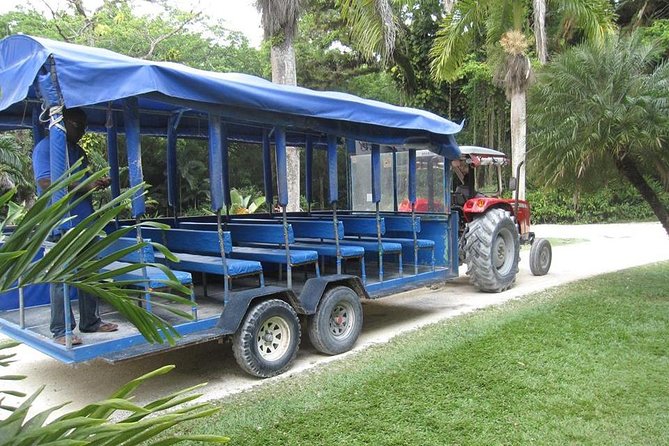 Black River Safari and YS Falls Tour From Negril - Cancellation and Refund Policy