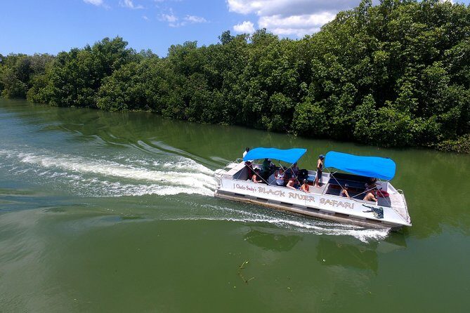 Black River Safari and YS Water Falls - Key Points