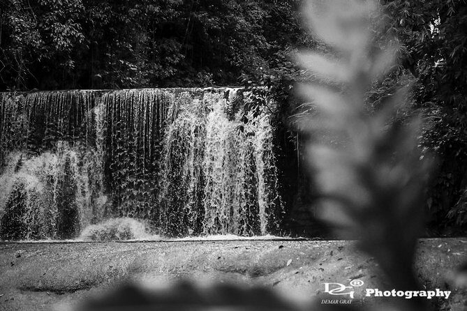 Black River Safari and YS Water Falls - An In-Depth Look at the Tour