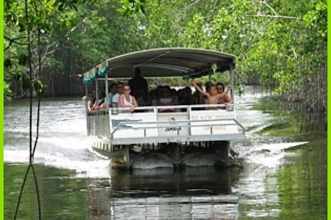 Black River Safari Guided Tour and Y.S Falls - Pricing Details