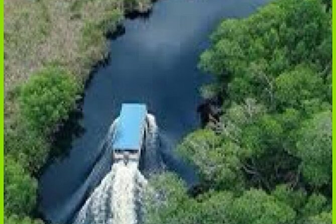 Black River Safari Guided Tour and Y.S Falls - Whats Included