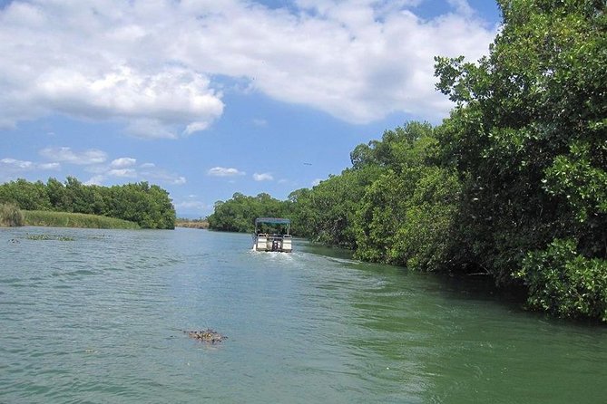 Black River Safari Tour From Kingston - Additional Information